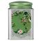 Twist Lock Green Canister – Airtight Square Storage for Kitchen Essentials Manufacturers, Suppliers in Delhi